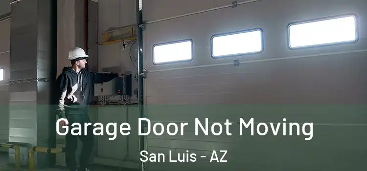  Garage Door Not Moving San Luis - AZ
