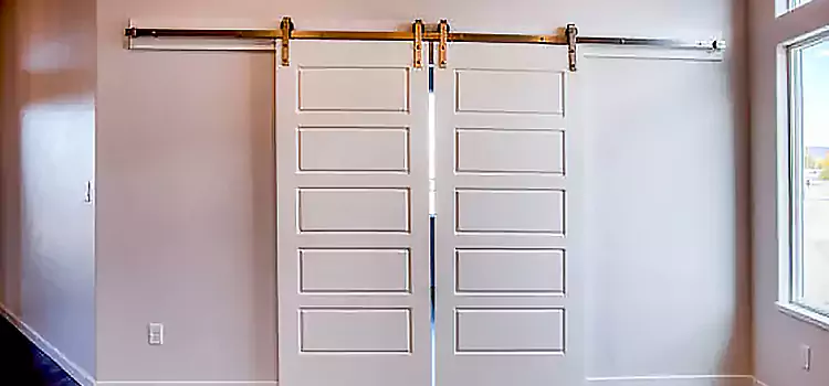 Glass Barn Door with Installation Hardware Kit San Luis