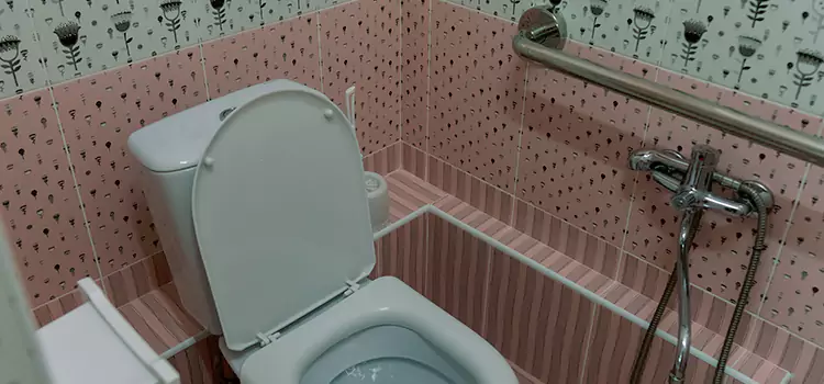 Meeting Diverse Needs With Accessible Restroom Solutions in San Luis, AZ